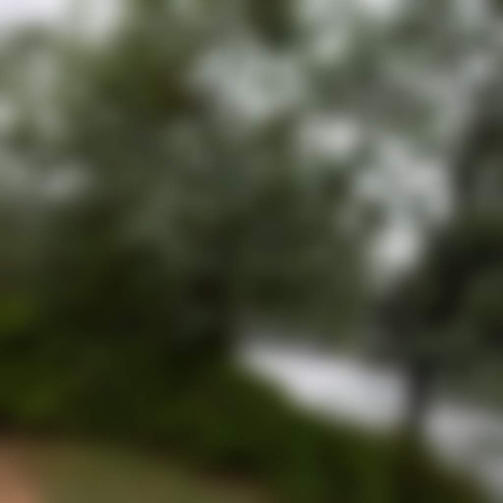 Woman in cap walking beside the Mitchell River Bairnsdale