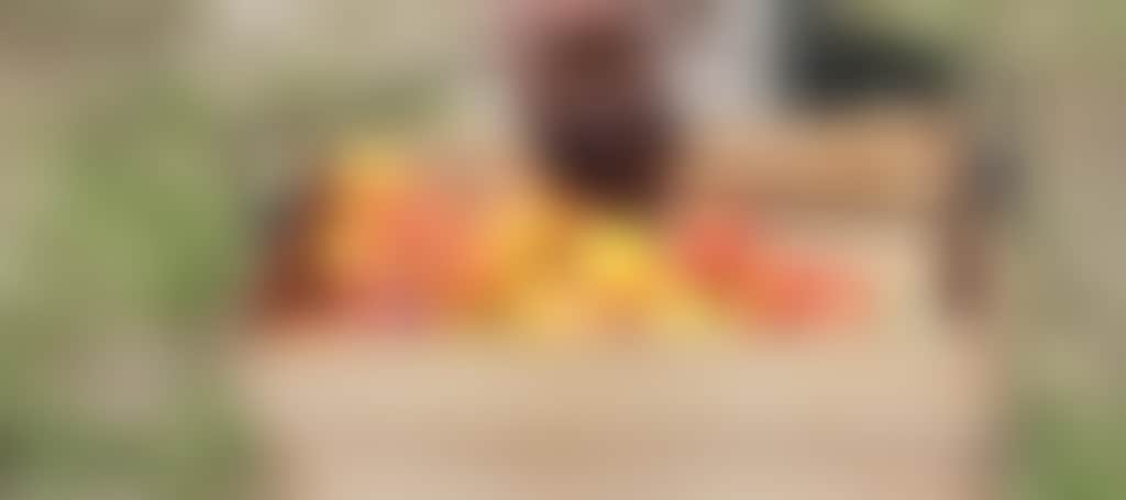 Man holding a crate of peaches at Twin Rivers Fruit