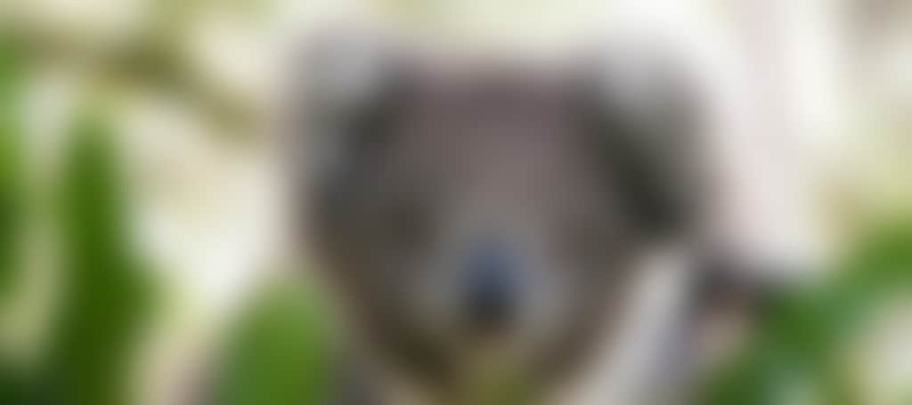 3626E117Cce1D0186E08B473A400Dbfb