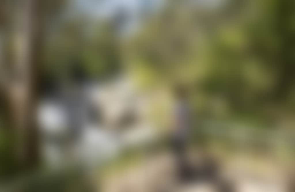 Woman at Viewing Platform Overlooking Waterfall at Agnes Falls