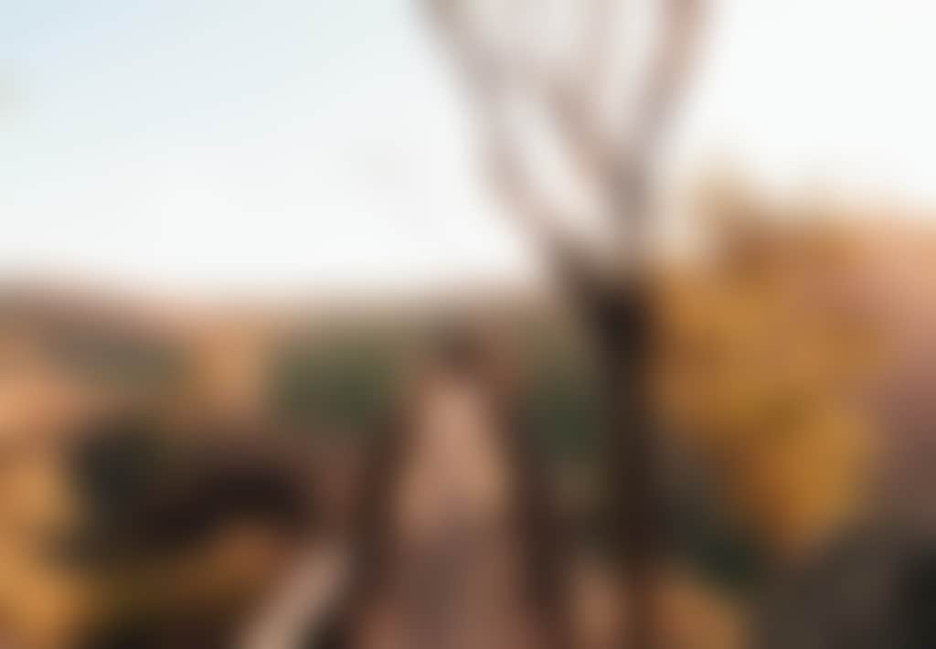 Petersons Lookout Tyers Park couple on viewing platform looking over gorge Nathsway 2023