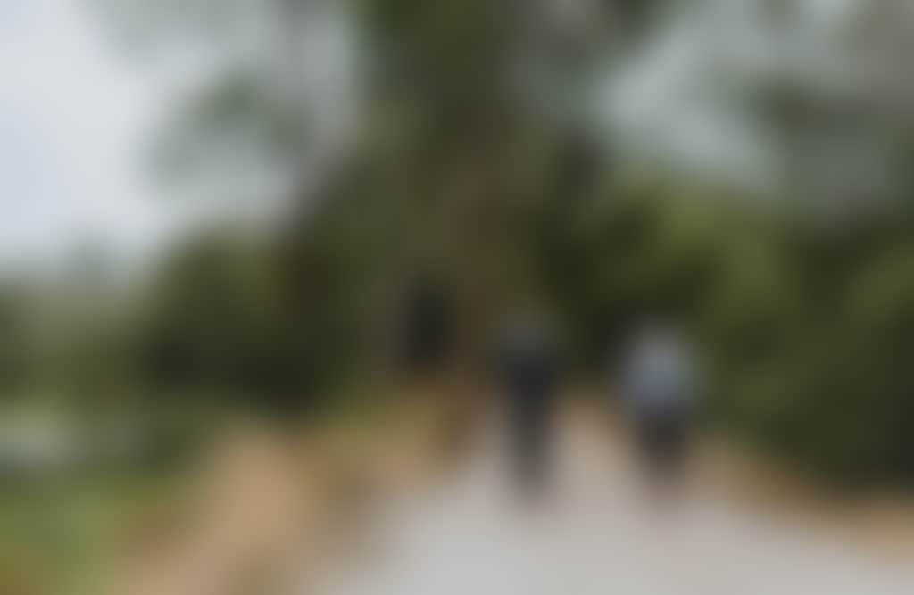 Traralgon Railway Reservoir Conservation Reserve couple walking past water hen