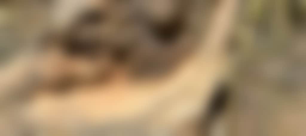 91597997644Bf89Efb0Fd343B234F5Cf