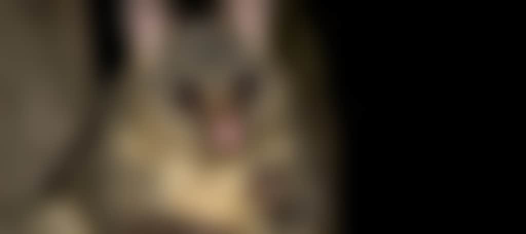 6705E639353894Dbe4Fbaec192D96D4E