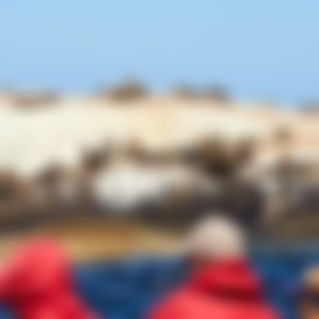 Wanderer Adventures seals on Kanowna Island Wilsons Prom