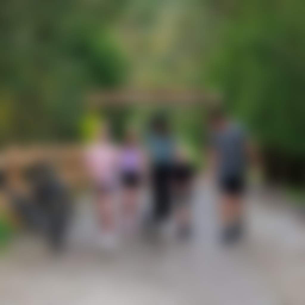 Rokeby Neerim Rail Trail family walking under trail head with dog