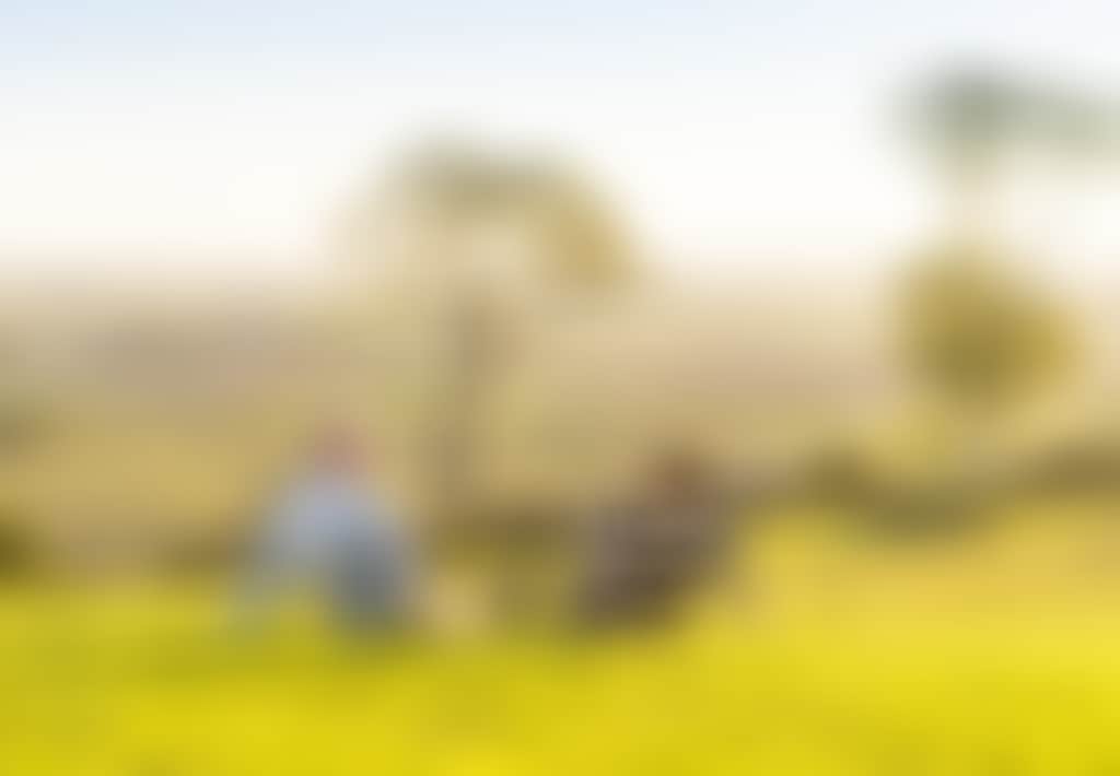 Couple drinking wine on the grass at sunset at Lightfoot Wines