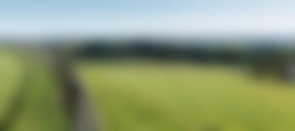 Green farmland in Jindivick