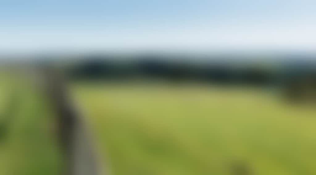 Green farmland in Jindivick