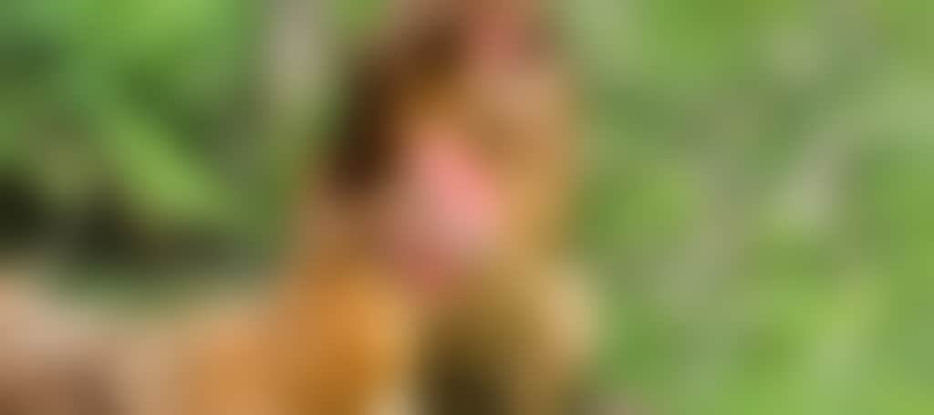 F444F1Fd24953D144Dbcefaf156Ea082