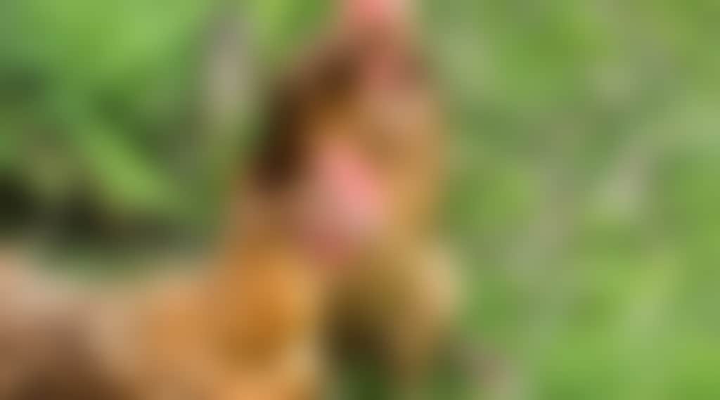 F444F1Fd24953D144Dbcefaf156Ea082