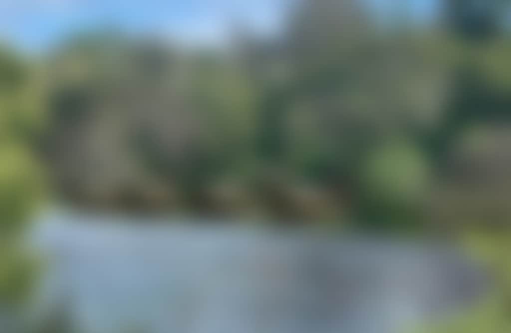 Metung Hot Springs Metung Safari Glamping Tents overlooking lake with waterbirds