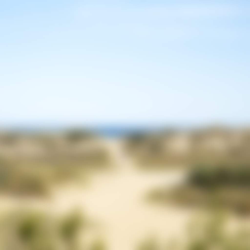 Person Walking at Entrance to Lake Tyers Beach