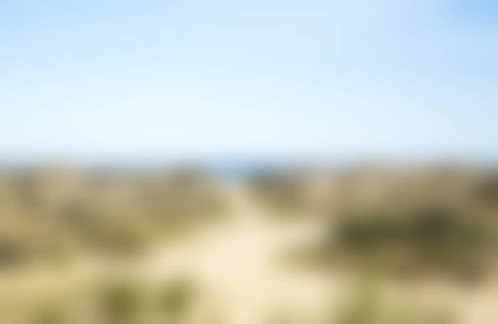 Person Walking at Entrance to Lake Tyers Beach