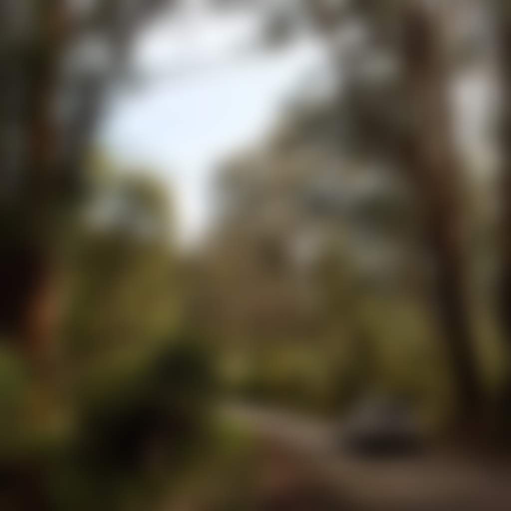 Grand Ridge Road white car driving through forest on West Gippsland drive