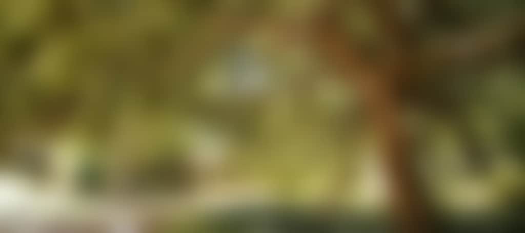 276D055951746B346E87Cbb2B51E8C79