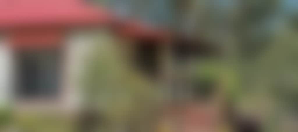 Ca914Ec25D2A7Cd78F14631F7E6367Be