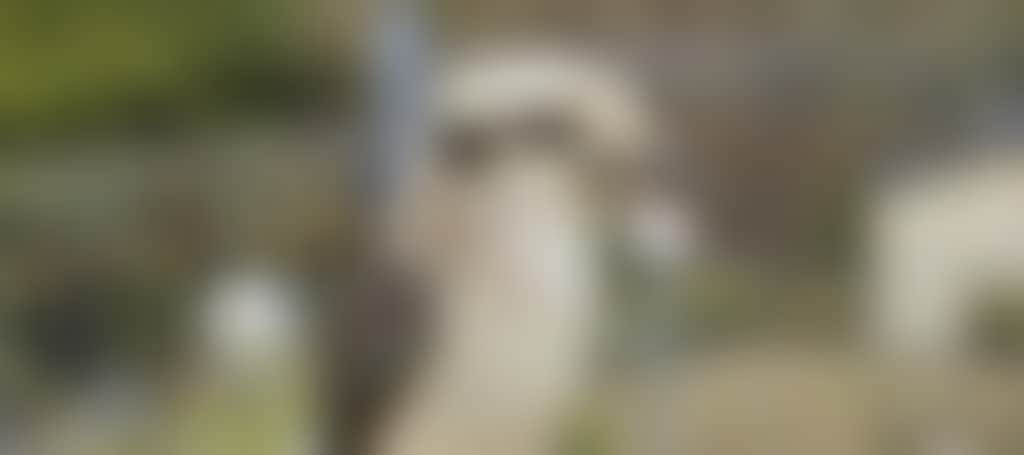 Bbaa625621724C4E763882490566Eb02