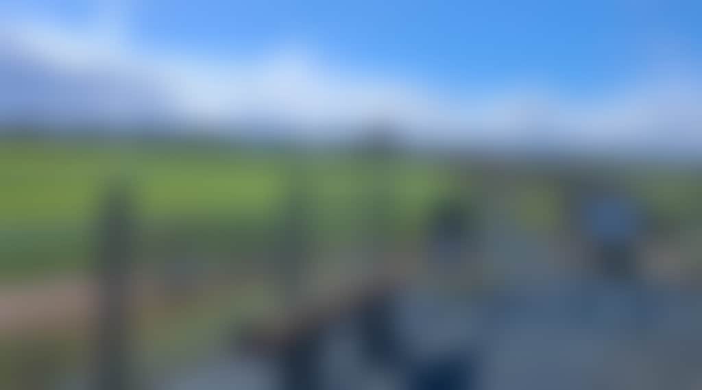 B6650A916C144E60Eb474279Bbbb343F