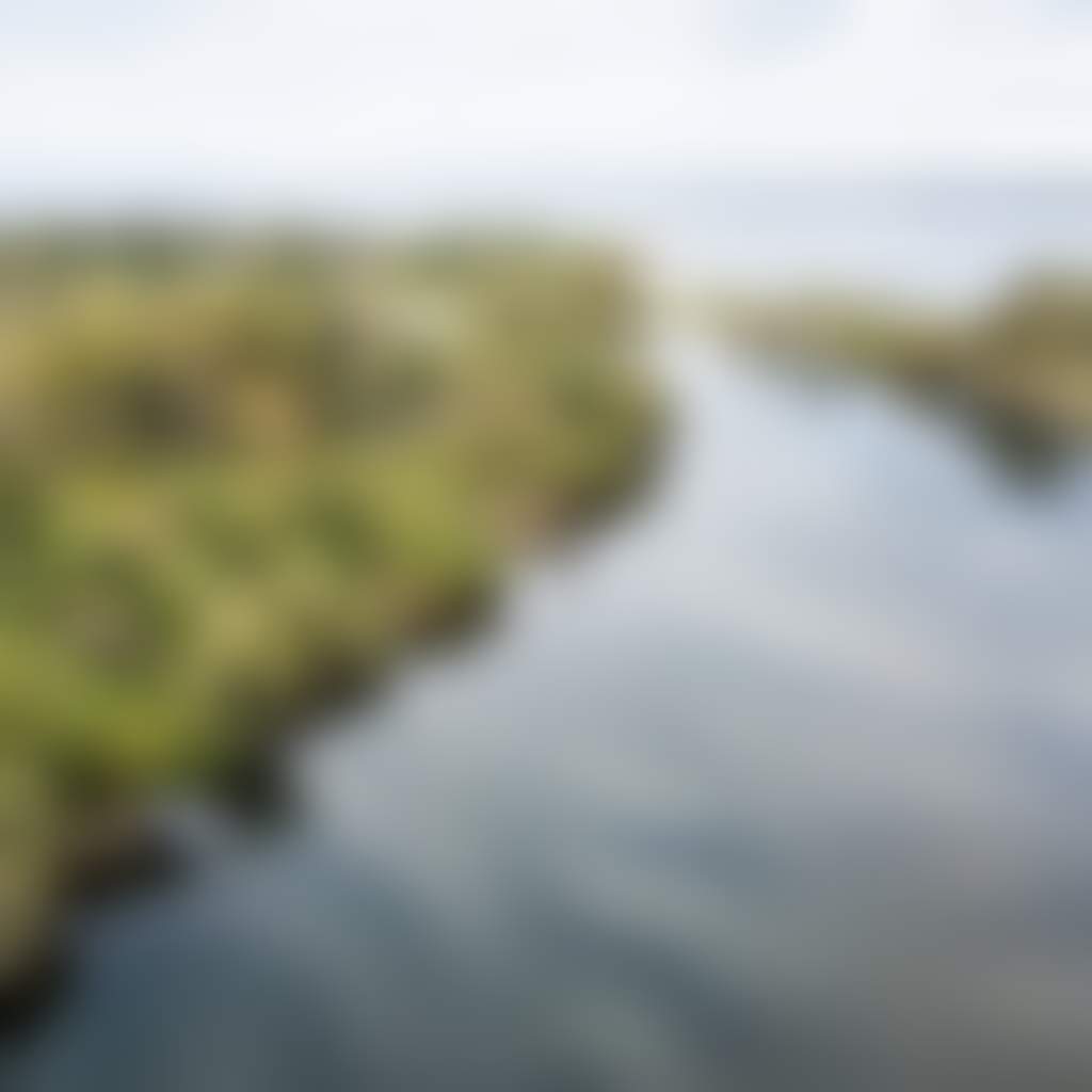 Aerial view of a boat on a river East Gippsland