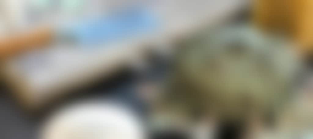 C18685E048B669828Ae7E9D05B9Ee6Bd