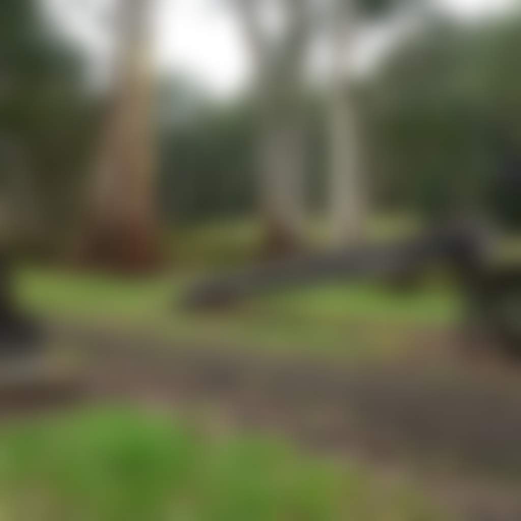 Loch Valley Tramline Resize