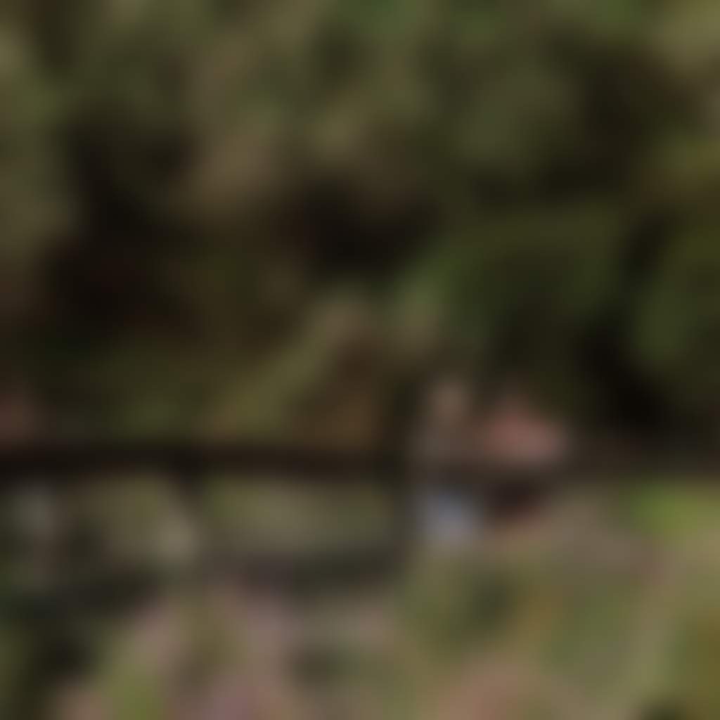 Two people standing on a bridge overlooking Neerim South Wetlands