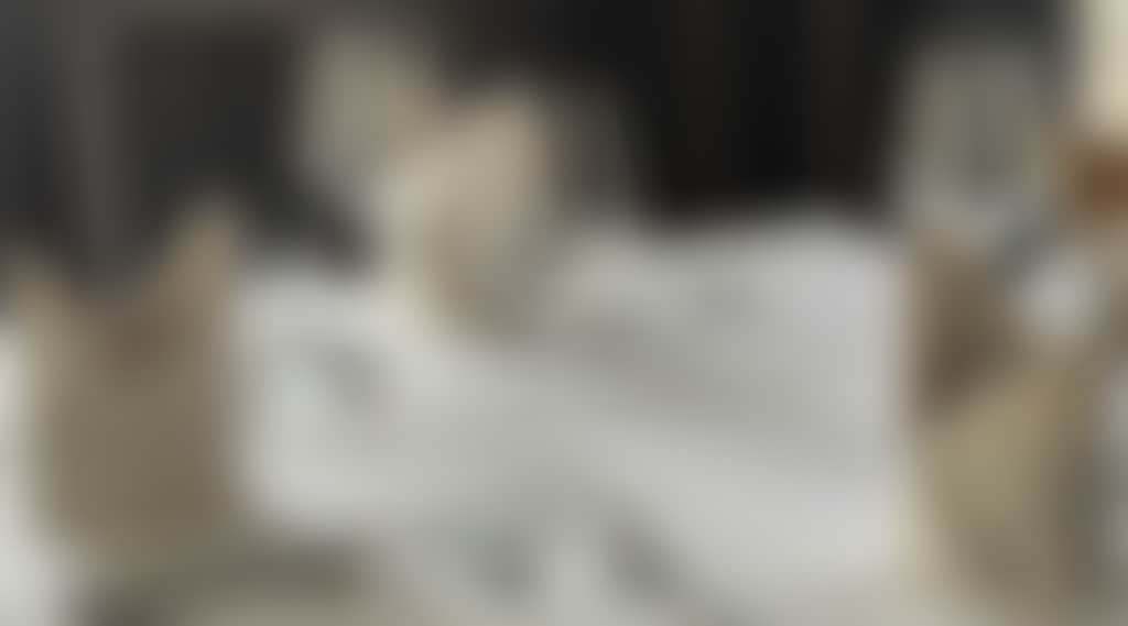 Bbd3F64Ca3E0B8819153830C12021104