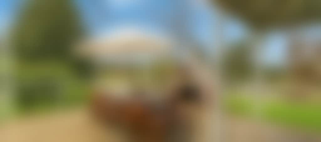 644Dd62C84Fd2440Bdac2D674103F1D3