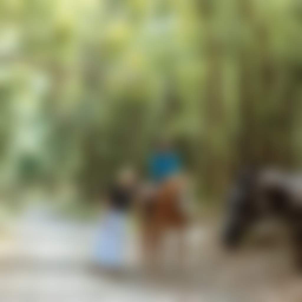 Rokeby Rail Trail Link people patting horse riders along trail