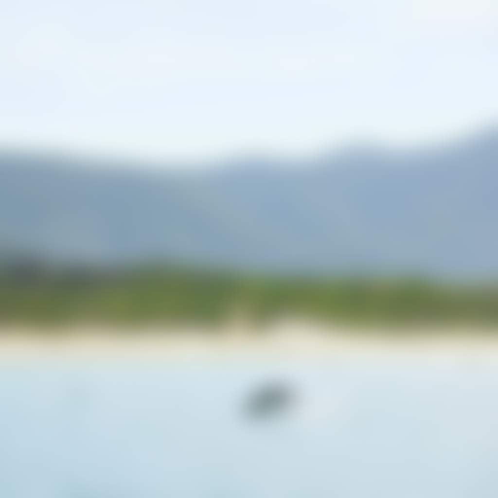 Wanderer Adventures dolphin jumping Wilsons Prom
