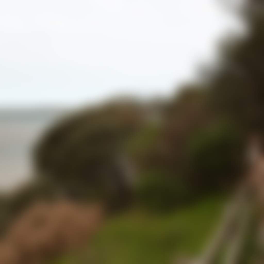Screw Creek Walk Inverloch couple on rail looking over ocean with trees