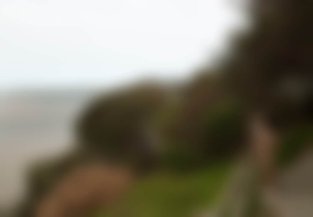 Screw Creek Walk Inverloch couple on rail looking over ocean with trees