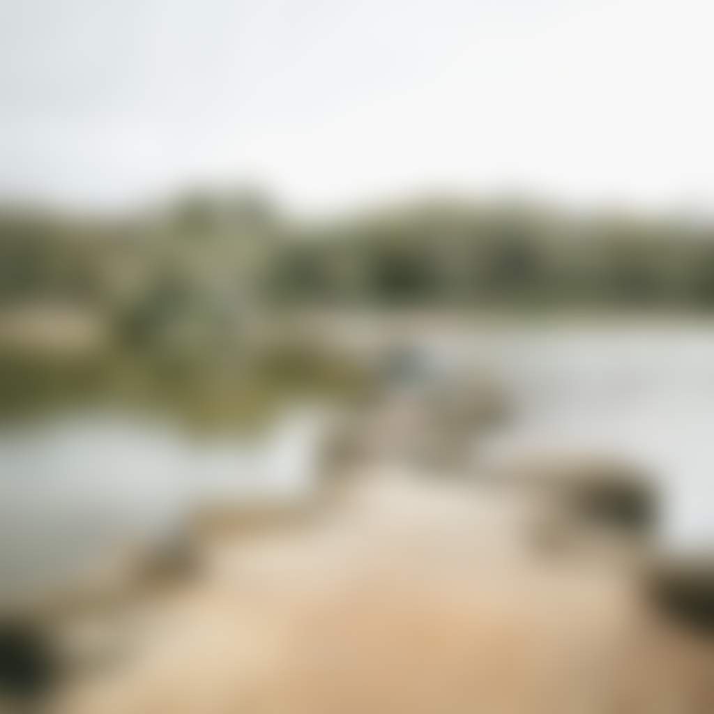 Bc088C623Bd46587Ee0Acb5D1D401C95