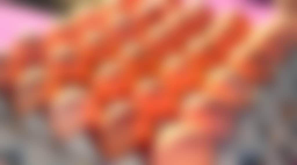 3653Cb982C31Fc97302D8Fb5A9261A28_Wumev4C