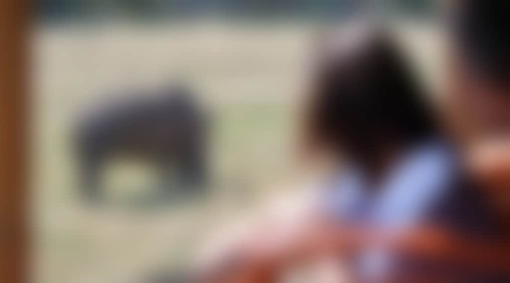 57C8C674B9923075Aaa2A035A766Ce84_Sm4Whkz