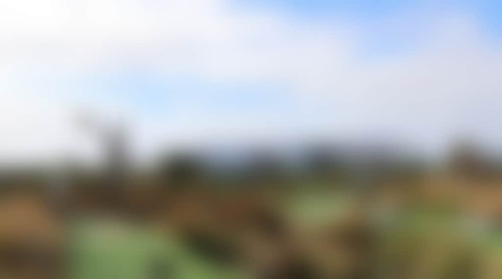 D03F14E7F75C73B69Fa8355E8F547918