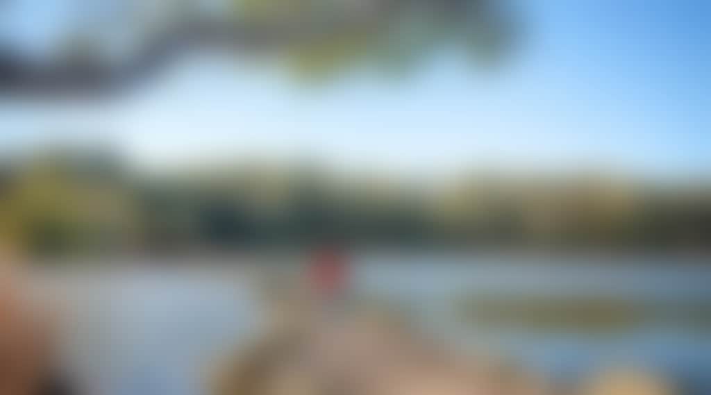 7D82Da698954F3Cac19C4Ec905F067F0