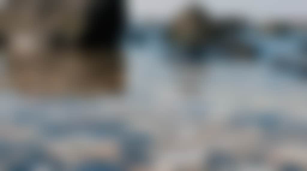 75C00F1F4Acf453F7C8B9781D4C80Af6