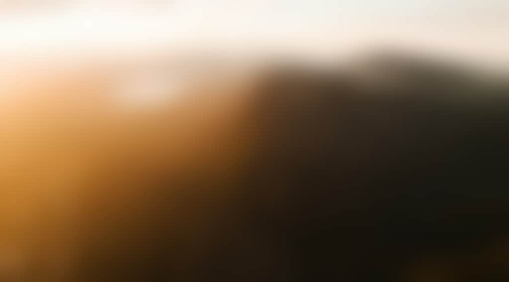 64Dc7Fb19A04058Efeb8Dd2Fbd8540A9