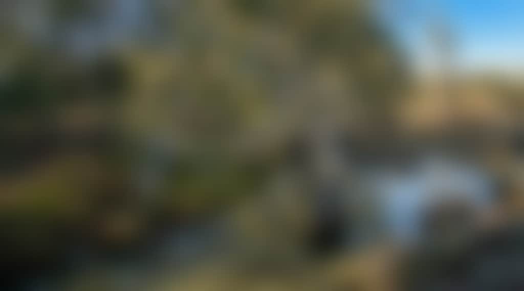 A5C22C1A08Ef4Ff822F53D84Fe7A6D87