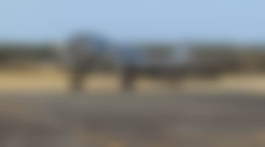 1526E4C2D6828D7A5D19626Fcb67E0A0