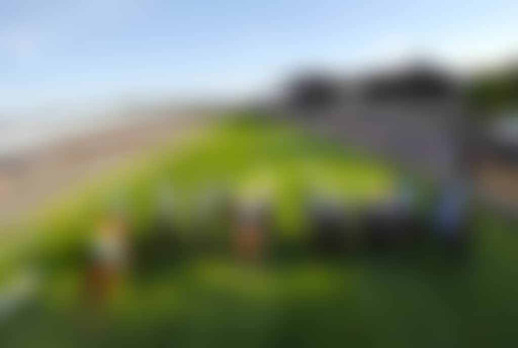 Cox plate wide shot website