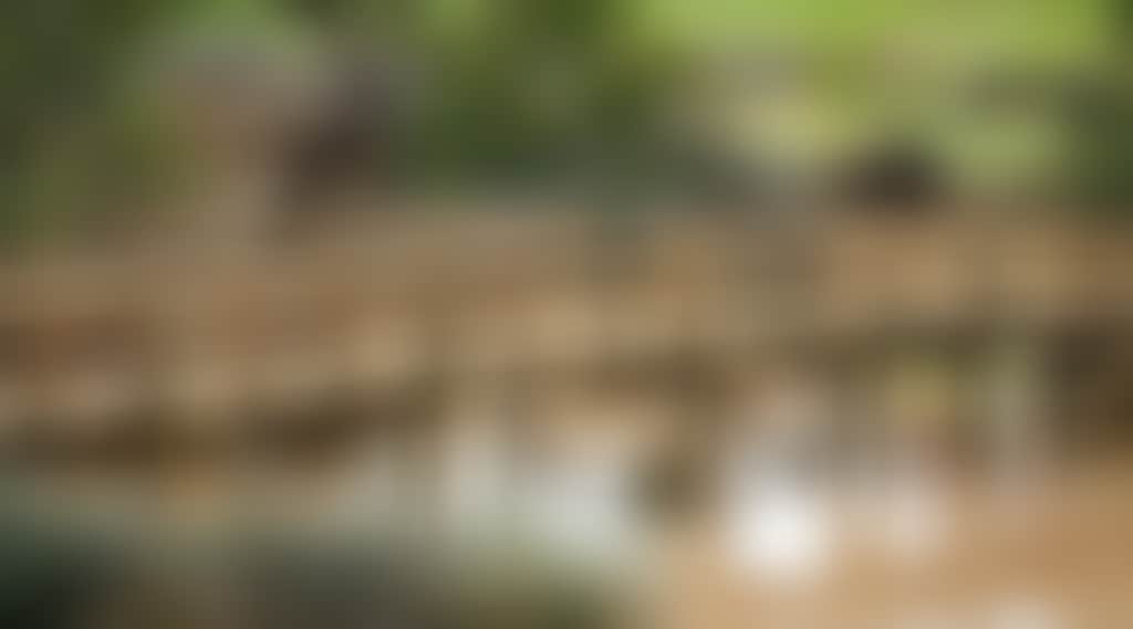 10551E8Cfe73C1A890E96E2Cedc9E865