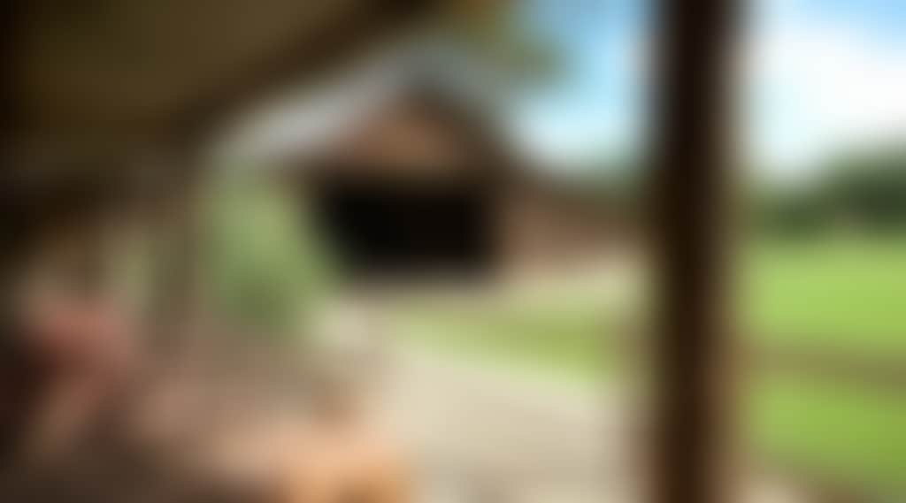 C9746B390249628254F15Aee9Cf09740