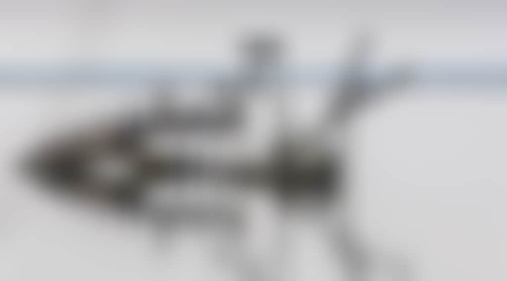 Birds on Lake Borrie