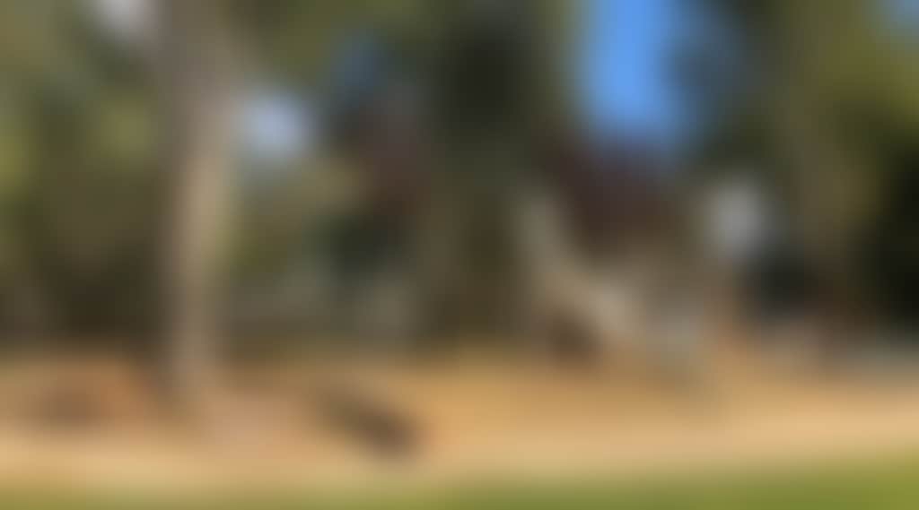 0B19Fbebaf572Bf516525Aeb81F0C35F