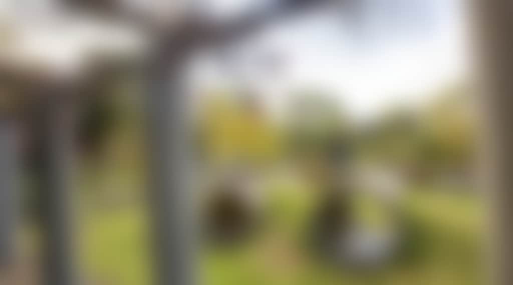 06A6E605834Ee9E50F1A22Ded1E17115