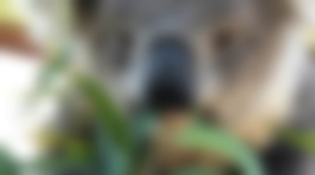 8Eb39357Eb3Bd3F0307842594B084551