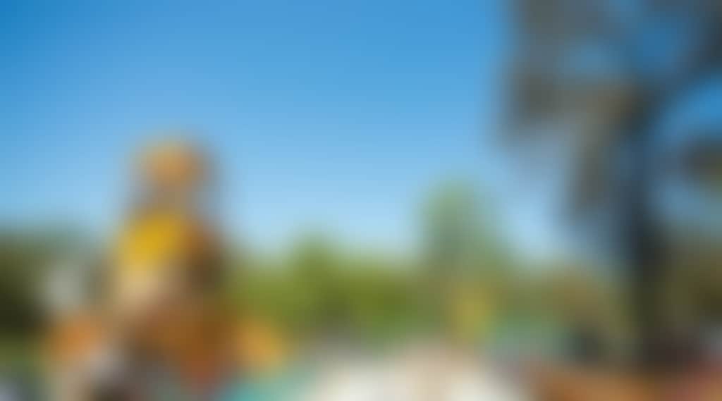 8A6888A82E121Cdde882C0A390Ed99B6